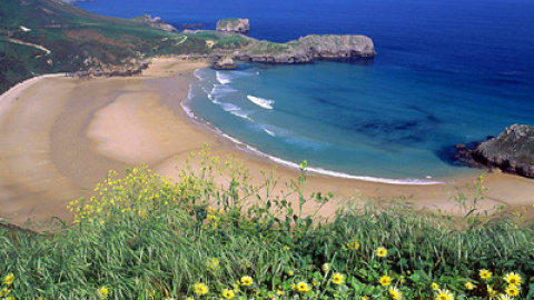 548cd41b7e767.jpg 548cd41b7e767.jpg