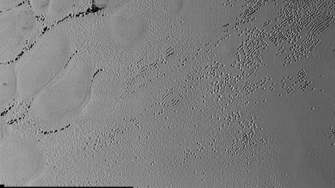 Miles de hoyos salpican el suelo de hielo de hidrógeno de Plutón. /NASA