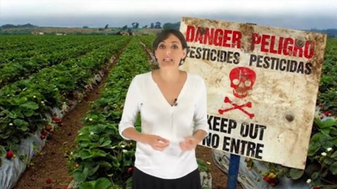 Lola Sanchez Lola Sanchez