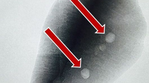 Encuentran evidencias de vida en la Tierra de hace 4.100 millones de años. /Stanford-UCLA Encuentran evidencias de vida en la Tierra de hace 4.100 millones de años. /Stanford-UCLA