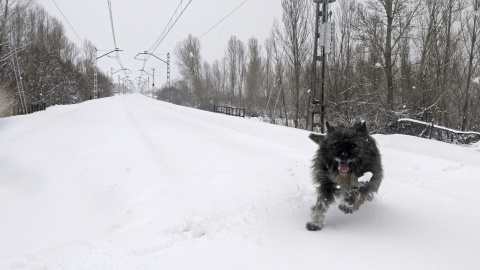 Vista de la línea de ferrocarril entre León y Asturias a su paso por Lorenzana (León). /EFE
