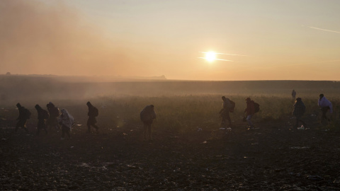 El amanecer tras el camino de los inmigrantes que intentan cruzar la frontera con Croacia, cerca de la aldea de Berkasovo, Serbia. REUTERS / Marko Djurica