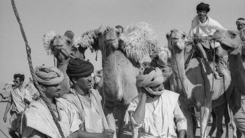Personal de Tropas Nómadas./ FONDO ANTONIO BUSTAMANTE