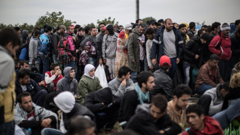 Decenas de personas esperan a poder pasar al centro de refugiados de Opatovac, en Croacia. - AFP Decenas de personas esperan a poder pasar al centro de refugiados de Opatovac, en Croacia. - AFP
