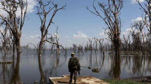 En el caso de Lago Nakuru, las inundaciones en 2011 ampliaron el lago poco profundo considerablemente y alteran el equilibrio químico que se encuentra detrás de su ecosistema.- REUTERS.