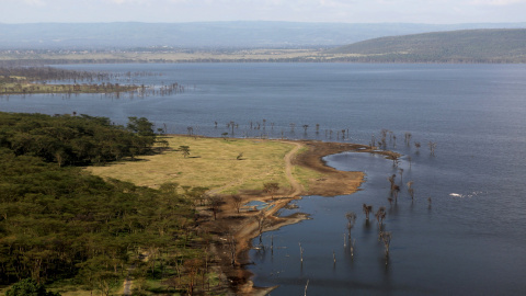 Lago Nakuru, que se encuentra a unos 170 km al noroeste de la capital, Nairobi, es un ecosistema frágil, vulnerable, entre otras cosas, a los efectos de la rápida urbanización en la cercana ciudad de Nakuru.- REUTERS
