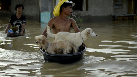 Un hombre saca a sus perros del pueblo en un barreño en Calumpit, provincia de Bulacan, el 22 de octubre de 2015. AFP/NOEL CELIS