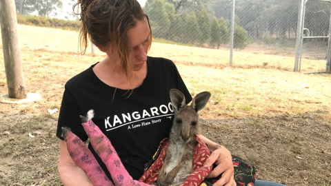 La voluntaria y cuidadora Tracy Dodd sostiene un canguro con almohadillas quemadas después de ser rescatado de incendios forestales en el área de Blue Mountains de Australia