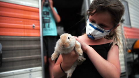 Jasmine Sanders sostiene a su conejo Jake después de evacuar al muelle en Eden, Nueva Gales del Sur, Australia