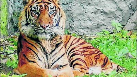 548d3be330c8b.jpg 548d3be330c8b.jpg