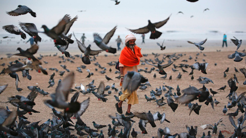 Un hindú pide limosna mientras camina entre los pájaros que vuelan en la playa, junto al mar Arábigo en Bombay. /DANISH SIDDIQUI (REUTERS)