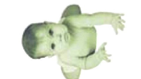 baby-einstein.jpg baby-einstein.jpg