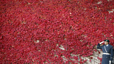 Un guardia hace saludos de honor durante una ceremonia de bienvenida para el presidente de Honduras, Juan Orlando Hernández Alvarado, y la canciller alemana, Angela Merkel en la Cancillería en Berlín, Alemania , 27 de octubre de 2015. REUTE