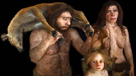 Los neandertales se repartían las tareas por sexo Los neandertales se repartían las tareas por sexo
