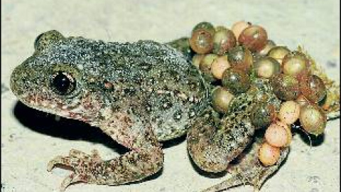 548d3cb354822.jpg 548d3cb354822.jpg