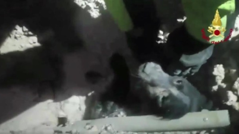Bomberos italianos rescatan a un perro atrapado en los escombros del terremoto de Norcia