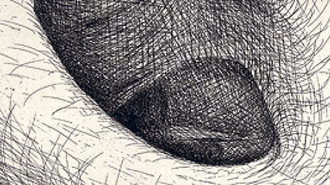 548d3cf192504.jpg 548d3cf192504.jpg