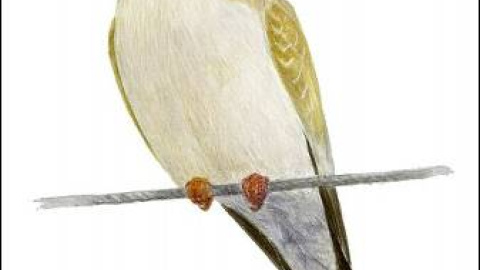 548d09e4f22fc.jpg 548d09e4f22fc.jpg