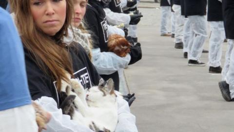 Protestan en Viena con 650 animales muertos contra la explotación animal. /VGT Protestan en Viena con 650 animales muertos contra la explotación animal. /VGT