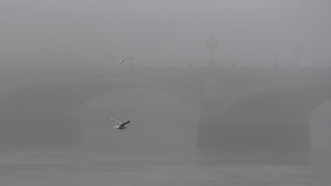 Una gaviota vuela más allá del puente de Westminster.- REUTERS.
