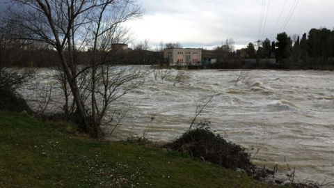El caudal del río Ebro, podrá alcanzar a su paso por Logroño un máximo de 1.200 metros cúbicos por segundo en la tarde de este viernes./ EUROPA PRESS El caudal del río Ebro, podrá alcanzar a su paso por Logroño un máximo de 1.200 metros cúbicos por segundo en la tarde de este viernes./ EUROPA PRESS