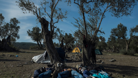 Varios refugiados descansan entre olivos en el campamento de Kara Tepe, en la isla de Lesbos, Grecia.- SANTI DONAIRE / NERVIO FOTO