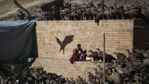 Un monje budista recoge sus pertenencias junto a una bandada de buitres cerca de un cadáver. /REUTERS