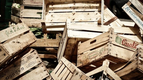 desperdicio-alimentos desperdicio alimentos