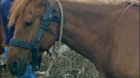 548d0b874ba60.jpg 548d0b874ba60.jpg