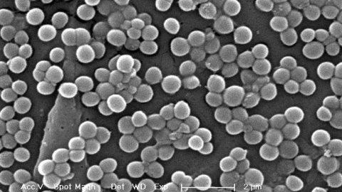 54a175a42057d.jpg 54a175a42057d.jpg