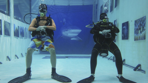 Los buzos, bajo el agua en las fotografías de una exposición celebrada en el interior de una piscina de buceo en el club Inner Space en Beijing, China. REUTERS