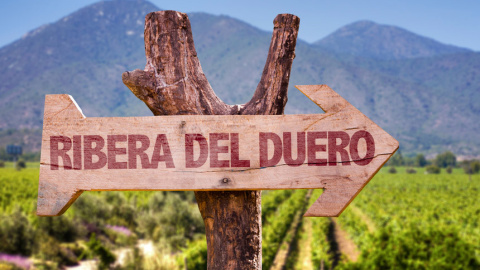 Denominación de origen: Ribera del Duero