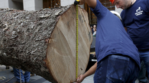 Varios empleados miden el tronco del árbol que en Navidad se instalará en el Rockefeller Center de Nueva York. REUTERS/Shannon Stapleton