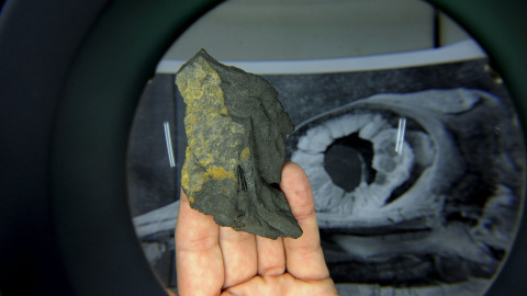 El equipo científico del Museo Jurásico de Asturias presenta sus más recientes estudios sobre el fósil de un ictiosaurio. REUTERS/Eloy Alonso