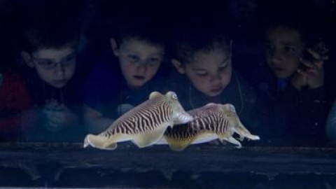 54a1aeb54d7e8.jpg 54a1aeb54d7e8.jpg