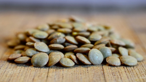 Las lentejas secas presentas antinutrientes como las lectinas. Lentejas.