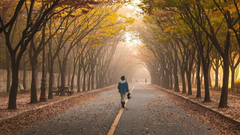 Caminar es una excelente actividad física, pero no es necesario obsesionarse con los 10.000 pasos. Foto: Pixabay. Caminante.