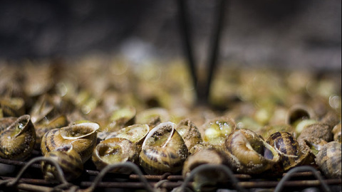 Caracoles a la llauna. Foto: Gilles Chiroleu - Own work/ Wikimedia Commons/ CC BY 3.0 Caracoles a la llauna.