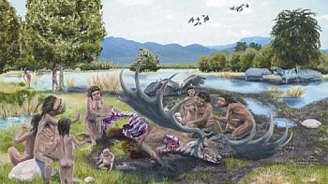 54a14cfe3feee.jpg 54a14cfe3feee.jpg