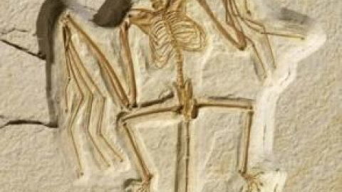 54a17f68961a5.jpg 54a17f68961a5.jpg