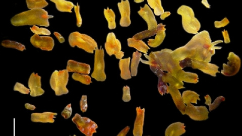 54a1e996a9e91.jpg 54a1e996a9e91.jpg