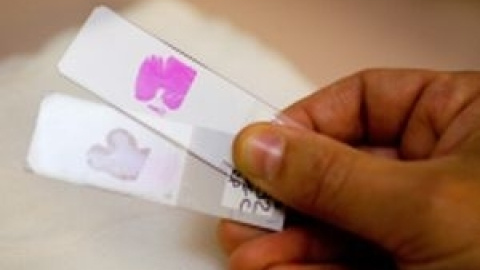 54a1ebb666930.jpg 54a1ebb666930.jpg