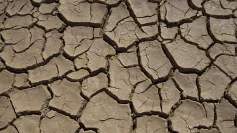 Terreno agrietado por la sequía en Hakskeenpan, Sudáfrica. EFE/Archivo