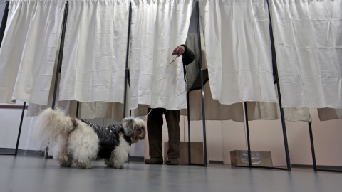 Un perro espera a su dueño en una estación de voto en la primera ronda de las elecciones locales francesas en Niza./ REUTERS-Eric Gaillard