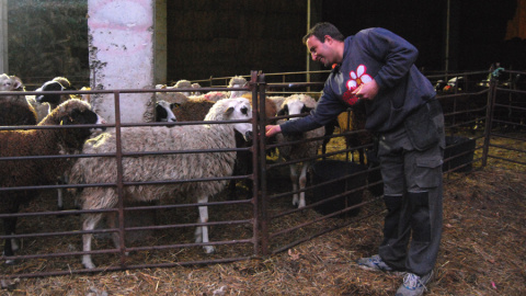 El ganadero Alberto Fernández con sus ovejas en el negocio que ostenta en Santa Colomba de Sanabria, Zamora. LUCÍA VILLA