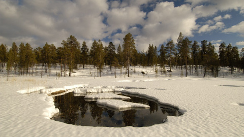 En los últimos 30 años se han perdido tres cuartas partes del volumen de hielo en el Ártico./ Greenpeace En los últimos 30 años se han perdido tres cuartas partes del volumen de hielo en el Ártico./ Greenpeace