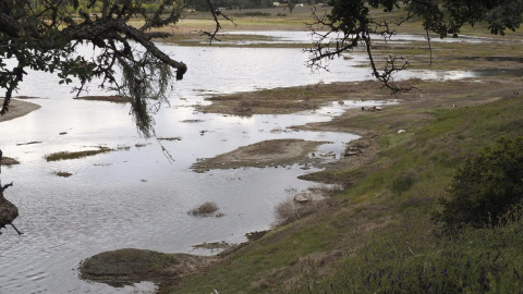 A pesar de la defensa del gobernador de california, Jerry Brown, a las medidas de control obligatorio de agua, críticos señalan que las restricciones deben enfocarse más en el sector agrícola que consume el 80 % del agua del estado y contri