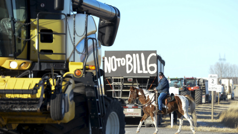 Un ranchero local monta su caballo en medio de una protesta de 50 agricultores y ganaderos que conducían tractores. Alberta, Canadá. REUTERS/Mike Sturk