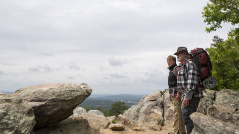 'Un paseo por el bosque', producida y protagonizada por Robert Redford