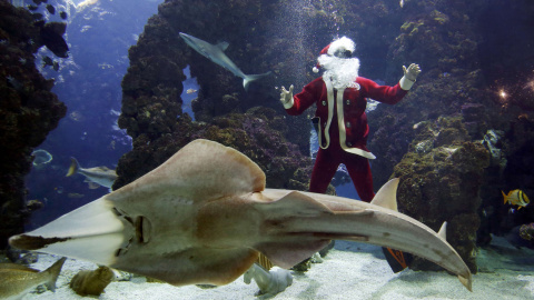 El francés Pierre Frolla, campeón del mundo de apnea, vestido de Papá Noel, en un acuario del Museo Oceánico de Mónaco. REUTERS/Eric Gaillard